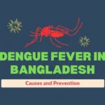 Dengue Fever in Bangladesh